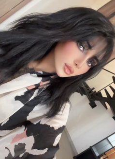 Emmy ايمي xxl - Transsexual escort in Riyadh Photo 15 of 20