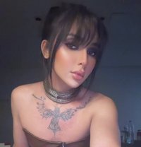 Emmy ايمي xxl - Acompañantes transexual in Jeddah