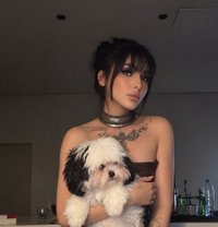 Emmy ايمي xxl - Transsexual escort in Jeddah Photo 15 of 15