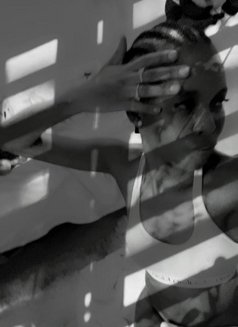 Empress Bee - companion in Mombasa Photo 1 of 2