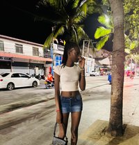 Empress Kiki - escort in Pattaya