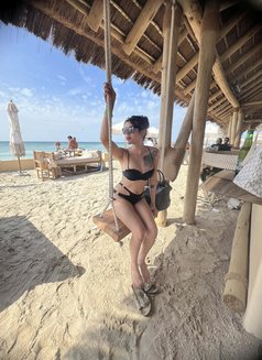 Emz Emz - Transsexual escort in Ajmān Photo 1 of 4