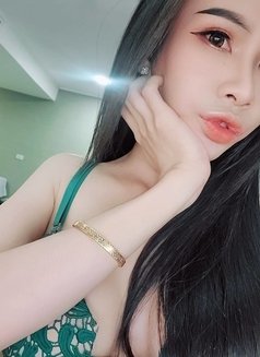 Eng cute and sexy Ladyboy Thailand - Transsexual escort in Bangkok Photo 11 of 27