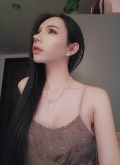 Eng cute and sexy Ladyboy Thailand - Transsexual escort in Bangkok Photo 22 of 27