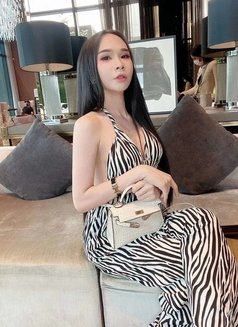 Eng cute and sexy Ladyboy Thailand - Transsexual escort in Bangkok Photo 1 of 27