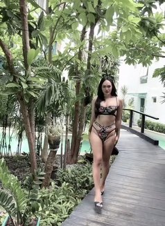 Engfar Bigdick - Transsexual escort in Pattaya Photo 4 of 6