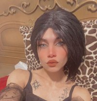 Ameera - Acompañantes transexual in Amman