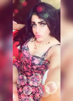 Engy Goga - Acompañantes transexual in Cairo Photo 23 of 29