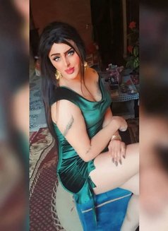 Engy Goga - Acompañantes transexual in Cairo Photo 27 of 29