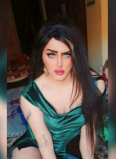 Engy Goga - Acompañantes transexual in Cairo Photo 1 of 29
