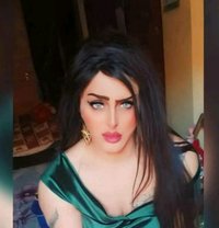Engy Goga - Acompañantes transexual in Cairo