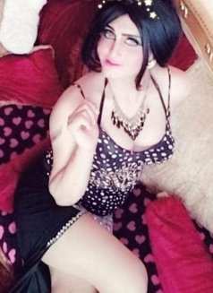 Engy Goga - Acompañantes transexual in Cairo Photo 5 of 29