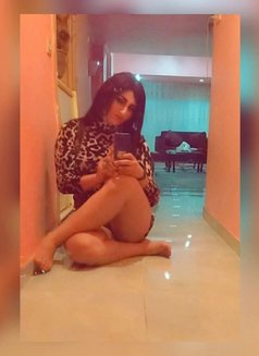 Engy Goga - Acompañantes transexual in Cairo Photo 16 of 29