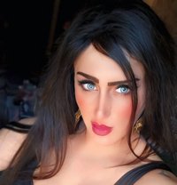 Engy Goga - Acompañantes transexual in Cairo