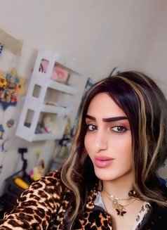 Engy Goga - Transsexual escort in Cairo Photo 27 of 28