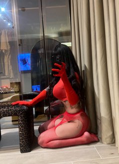 İvana—XXL-Serbia - Transsexual escort in İstanbul Photo 8 of 19