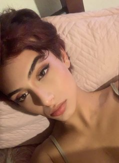 Enjel - Male escort in Beirut Photo 16 of 17