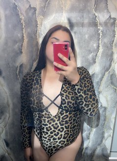 Erich - Transsexual escort in Ajmān Photo 6 of 6