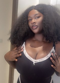 Erin - puta in Dubai Photo 1 of 2