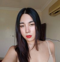 Stephanie - Transsexual escort in Al Sohar
