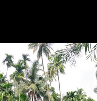 Erotic Massage and Fun 7.5 inches long - Male escort in Mumbai