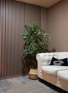 Erotic Massage - escort agency in Barcelona Photo 9 of 16