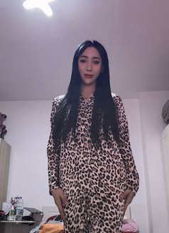 Esabel ur latina from 🇵🇭 ladyboy 🇵🇭 - Transsexual escort in Dubai Photo 12 of 15