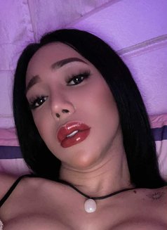 Lexxiel hard top/both/mistress 🇵🇭 - Transsexual escort in Dubai Photo 6 of 14