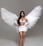 Escort Amsterdam Darlings of Nicole - puta in Amsterdam Photo 1 of 8