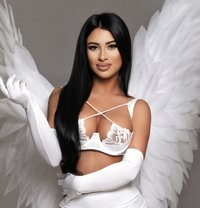 Escort Amsterdam Darlings of Nicole - escort in Amsterdam
