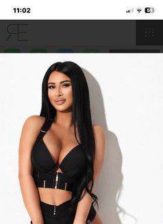 Escort Amsterdam Darlings of Nicole - puta in Amsterdam Photo 8 of 8