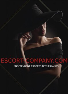 Escort Company - escort agency in Amsterdam Photo 1 of 1