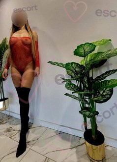 Escort, Disponible - puta in Le Havre Photo 4 of 4