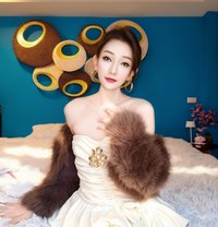 Escort Korean girl in Pattaya 🇰🇷 - escort in Pattaya