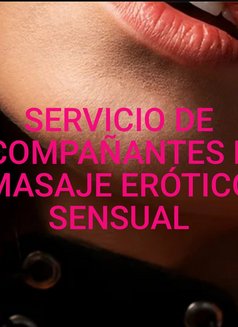 Escorts Aruba Services - Agencia de putas in Noord Photo 17 of 17