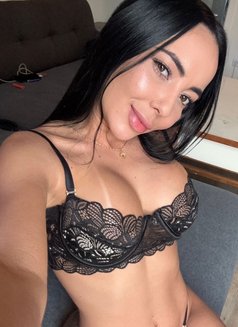 Escorts Aruba Services - Agencia de putas in Noord Photo 25 of 30