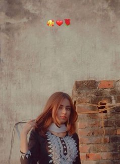 Mahi – Independent Hyderabad Escorts | - escort in Hyderabad Photo 6 of 11