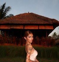 Eva is just arrived - Transsexual escort in Bali