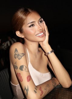 Eva is just arrived - Acompañantes transexual in Manila Photo 26 of 29
