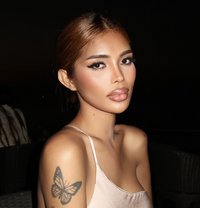 Eva is just arrived - Acompañantes transexual in Makati City