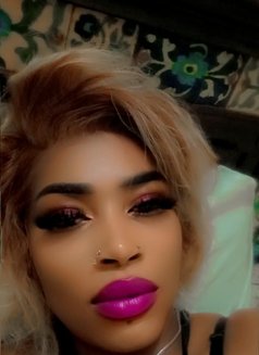 Evaline - escort in Jaipur Photo 1 of 1