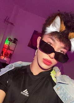 Evan - Male escort in Beirut Photo 7 of 7