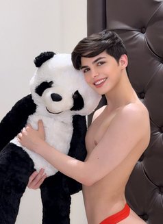 Evan lebanon big dick لبناني 🇱🇧 - Acompañantes masculino in Riyadh Photo 1 of 23
