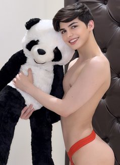Evan lebanon big dick لبناني 🇱🇧 - Acompañantes masculino in Riyadh Photo 7 of 29