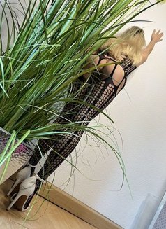 Evren - escort in Rome Photo 1 of 2