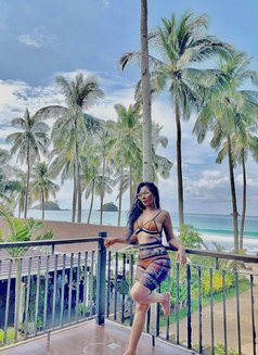 Evvah Cryptic - puta in Kuala Lumpur Photo 3 of 9