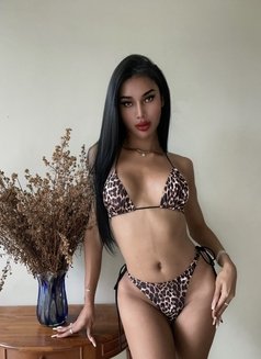 🫦Exclusive Asian Supermodel Babygirl - Acompañantes transexual in Bali Photo 21 of 21