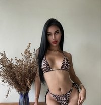 🫦Exclusive Asian Supermodel Babygirl - Transsexual escort in Bali