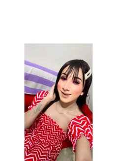 Exclusive Sia Roy - Transsexual escort in Kolkata Photo 1 of 1