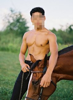 🇹🇭 Exclusive Thai Escort for Women - Male escort in Bangkok Photo 3 of 7